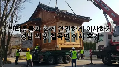반려동물과 함께 안전하게 이사하기: 경남 의령 칠곡면 이사 후기